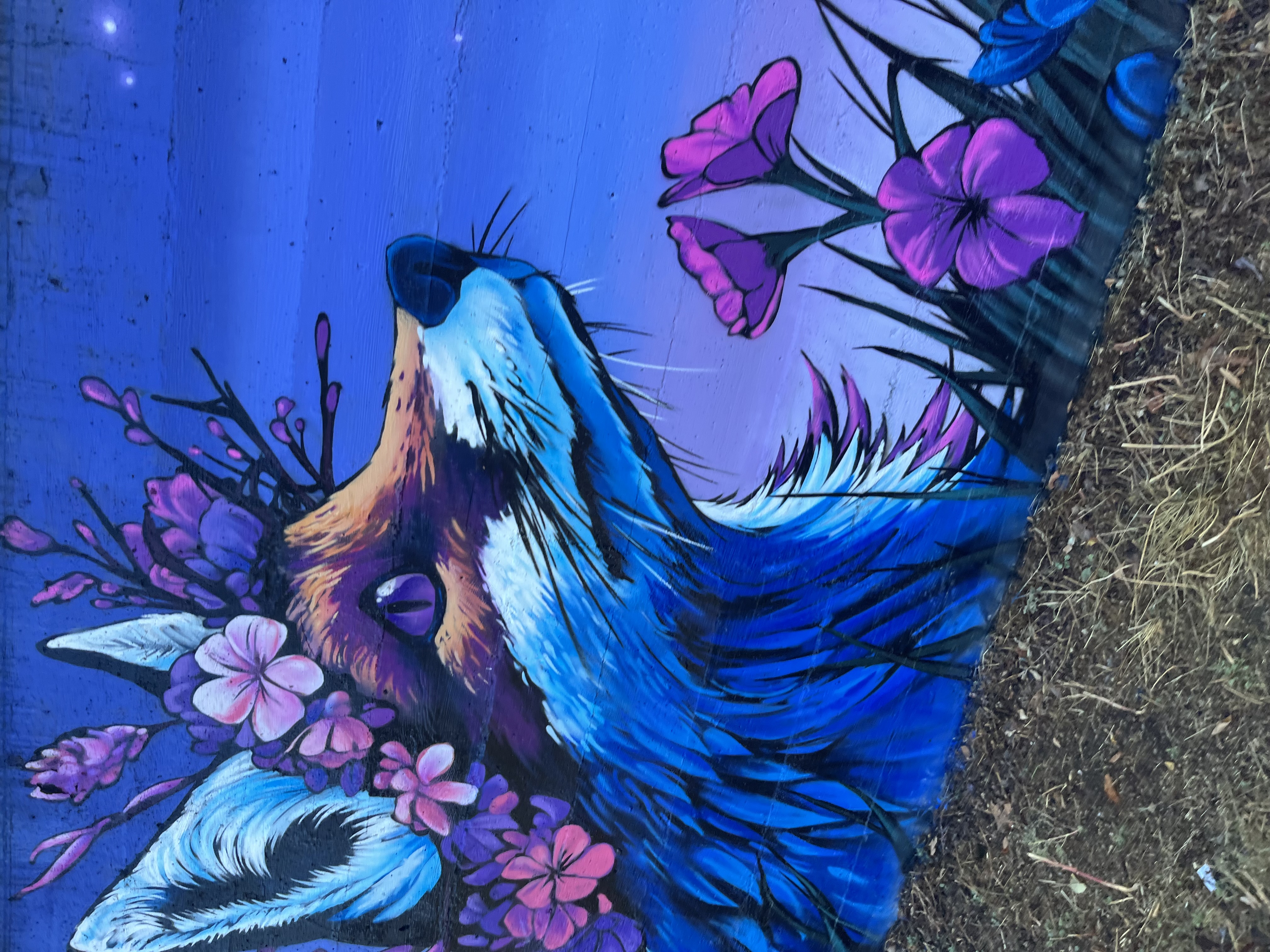 Cherry Creek Mural - Fox