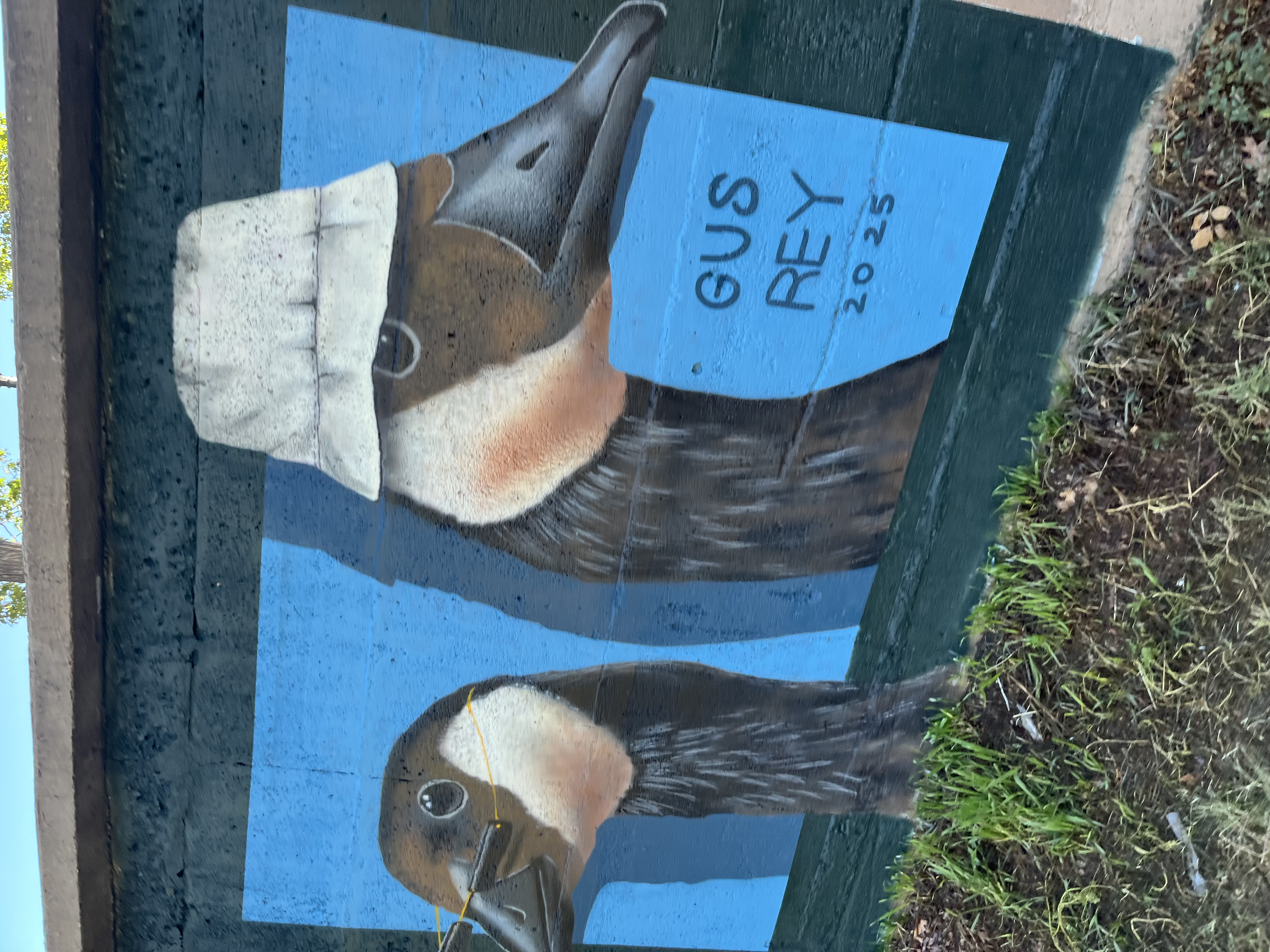 Cherry Creek Mural - Geese