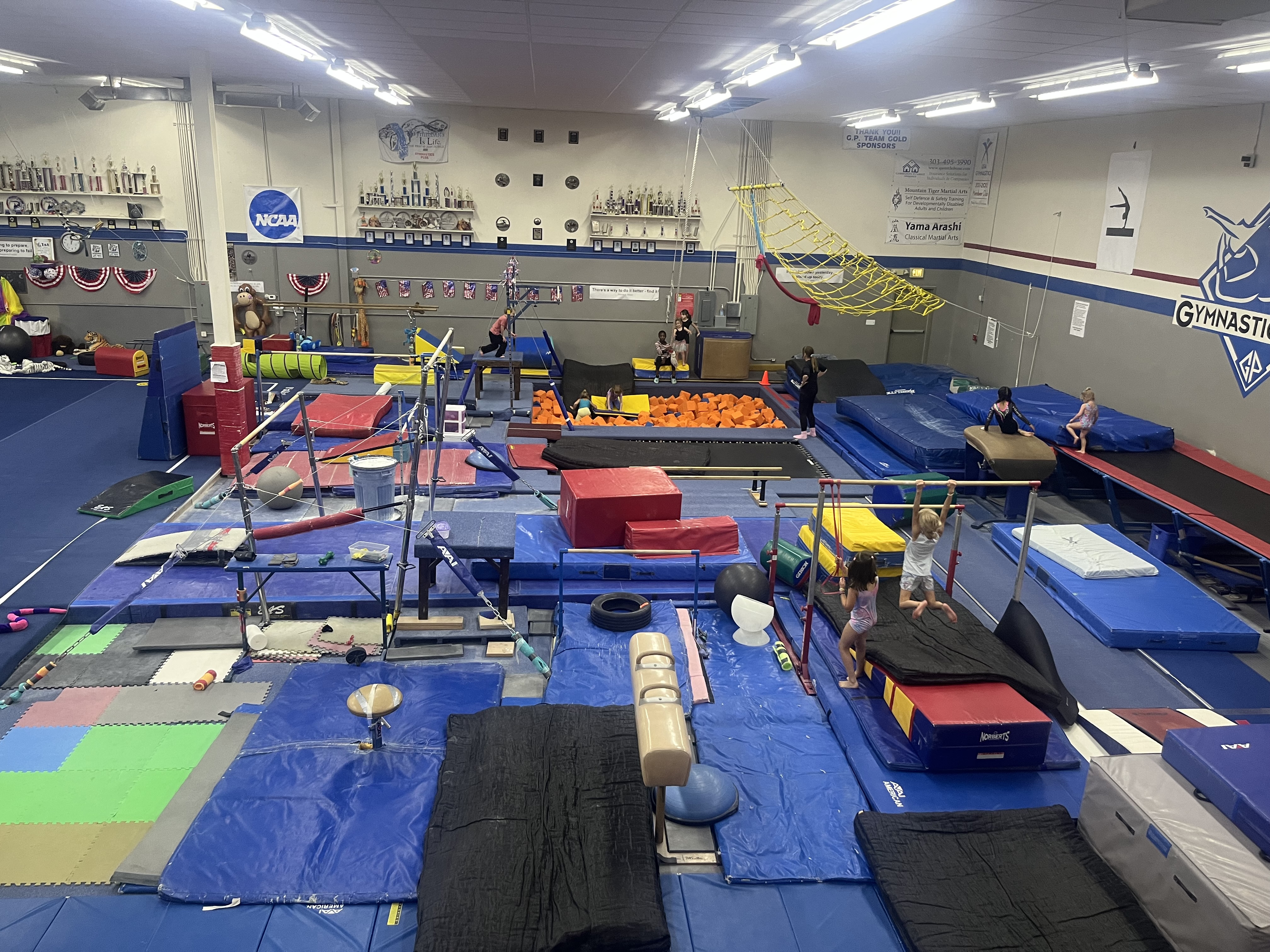 Gymnastics Plus