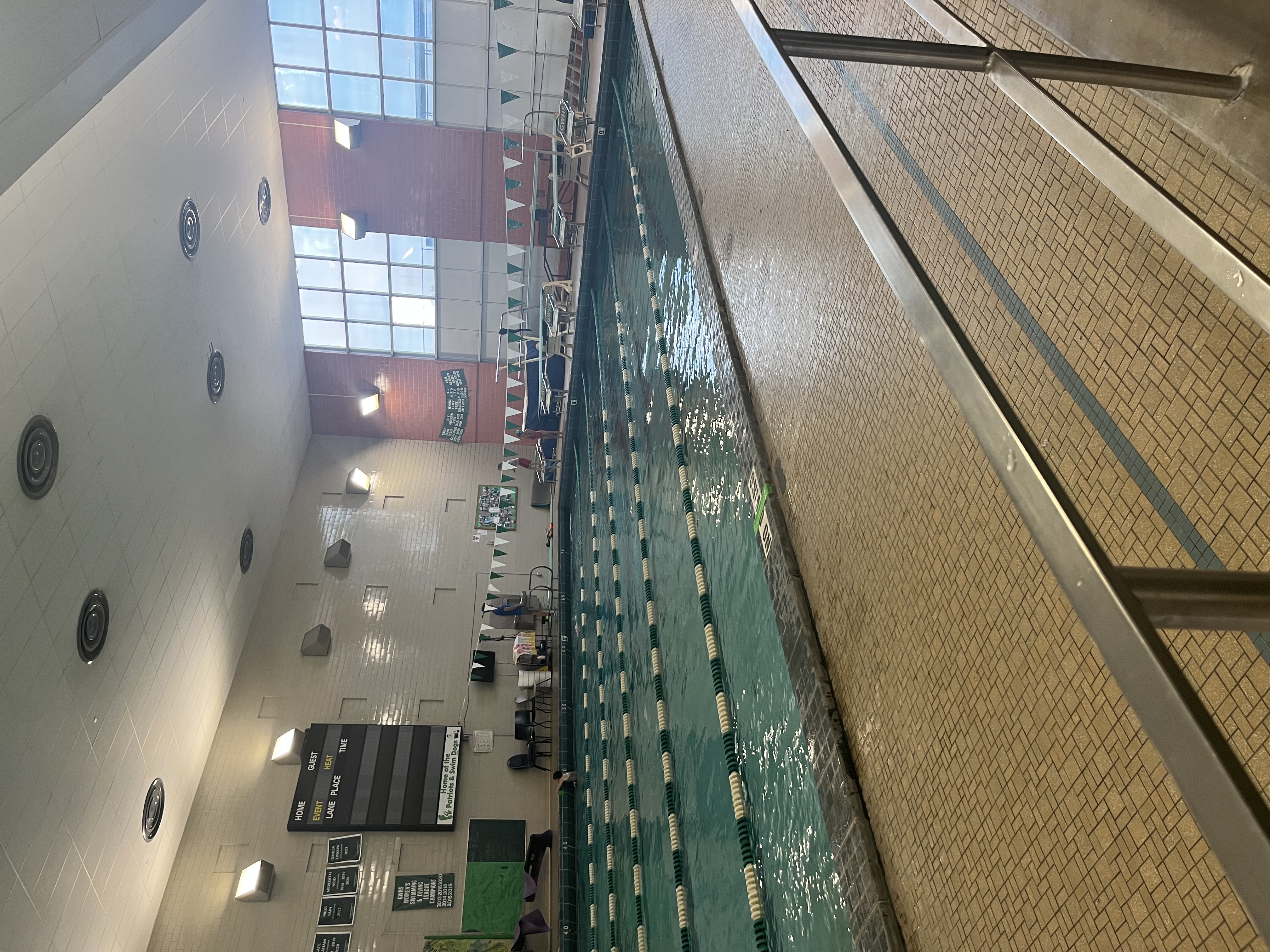 Swim Dogs at George Washington Pool